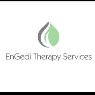 Engedi Therapy Services PLLC