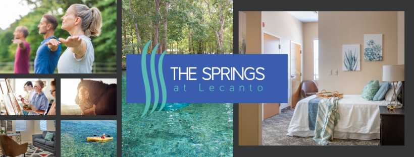 Springs at Lecanto Mental Health Services
