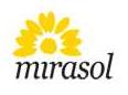 Mirasol Inc