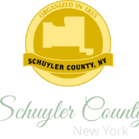 Schuyler County Mental Health Services