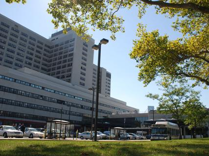 VA NY Harbor Healthcare System