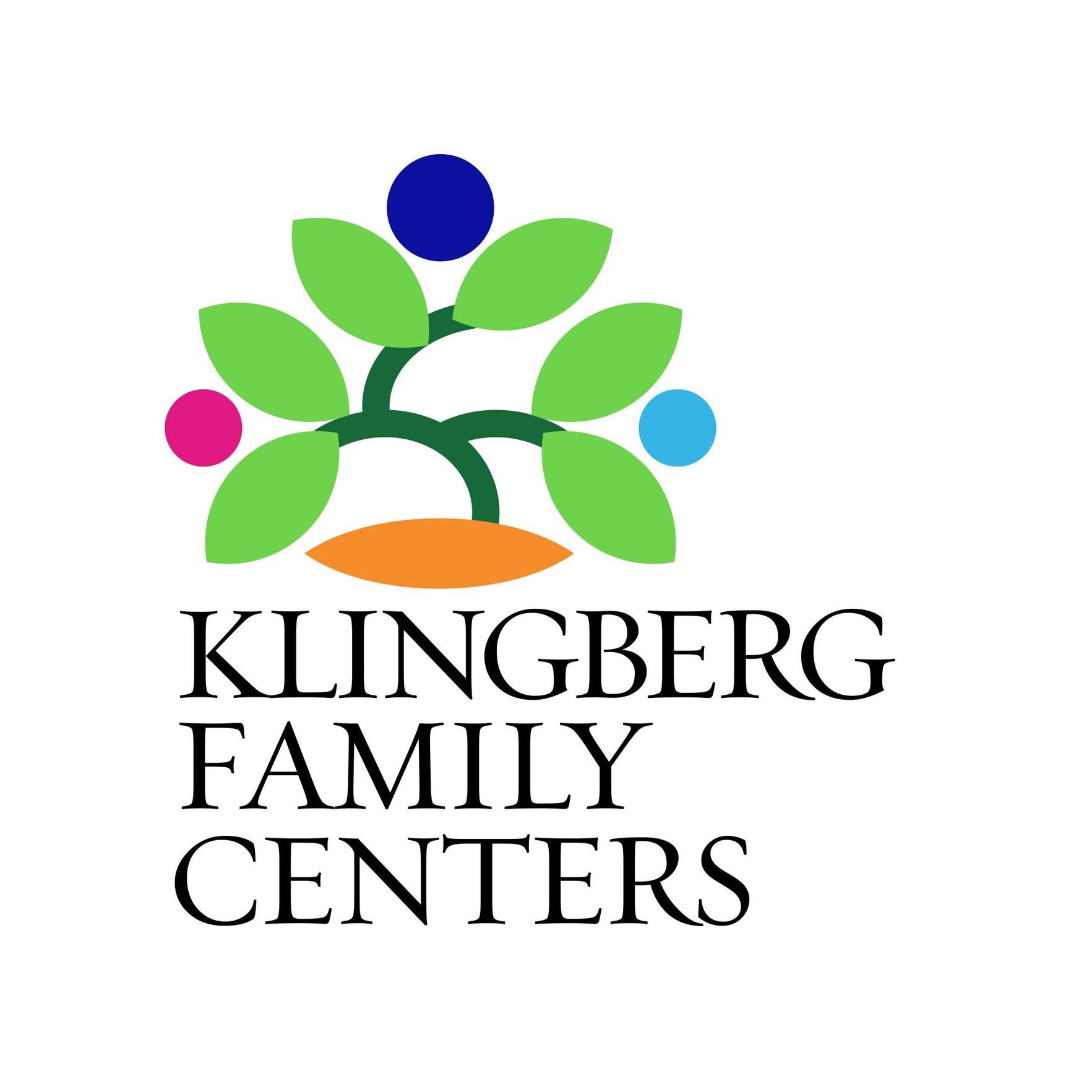 Klingberg Comp Family Services Inc